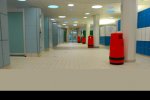 DSC_0012.jpg - 